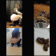 A pretty brown-haired girl takes a shit on the floor in 6 scenes and in a commode in 1 scene. Finished product shown each time. Vertical format video. About 20.5 minutes.